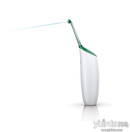 3. Philips AirFloss.2png.png